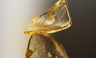 Goldleaf overlay